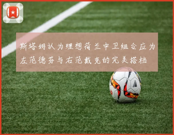 斯塔姆认为理想荷兰中卫组合应为左范德芬与右范戴克的完美搭档