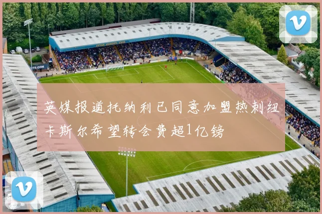 英媒报道托纳利已同意加盟热刺纽卡斯尔希望转会费超1亿镑