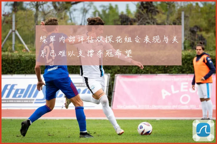 绿军内部评估双探花组合表现与关系已难以支撑夺冠希望