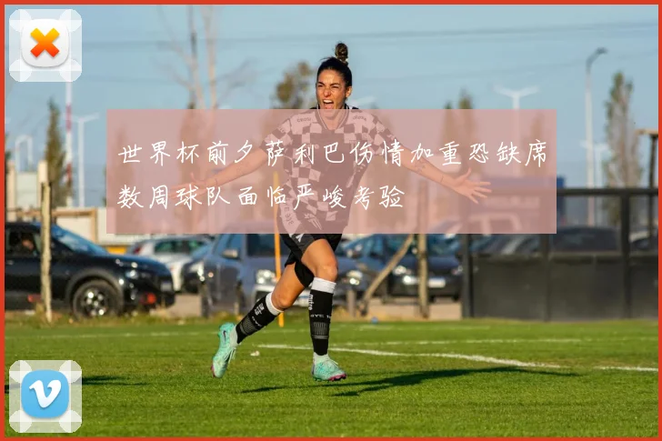 世界杯前夕萨利巴伤情加重恐缺席数周球队面临严峻考验